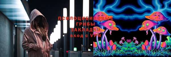 прущие грибы Абинск