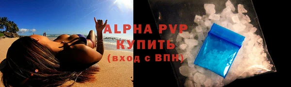 прущие грибы Абинск