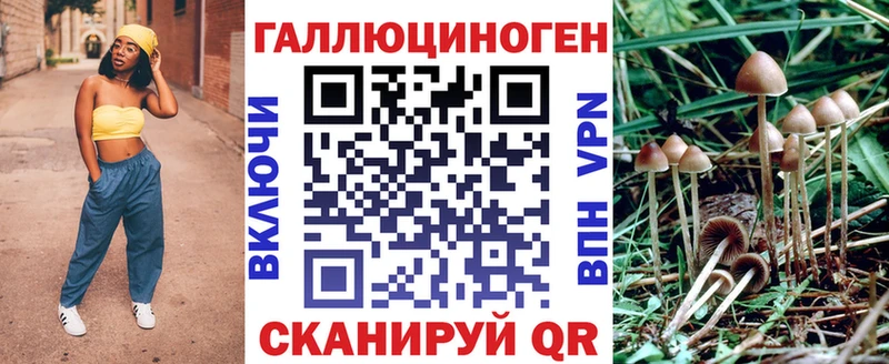 kraken онион  Берёзовка  Псилоцибиновые грибы прущие грибы 